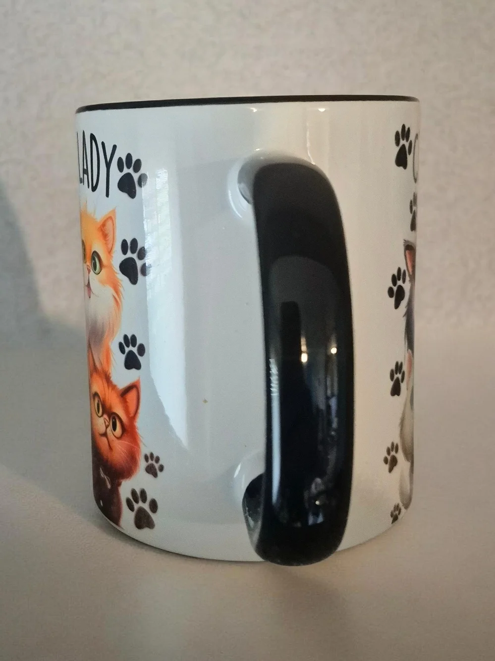 Crazy Cat Lady Ceramic Mug - Black Handle